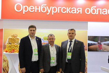 «Золотая осень – 2025»: депутаты на главной агровыставке страны